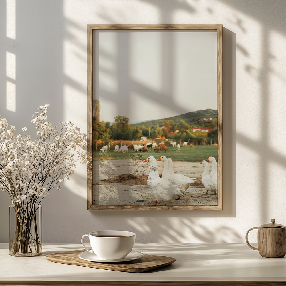 Poster Wandelende Ganzen